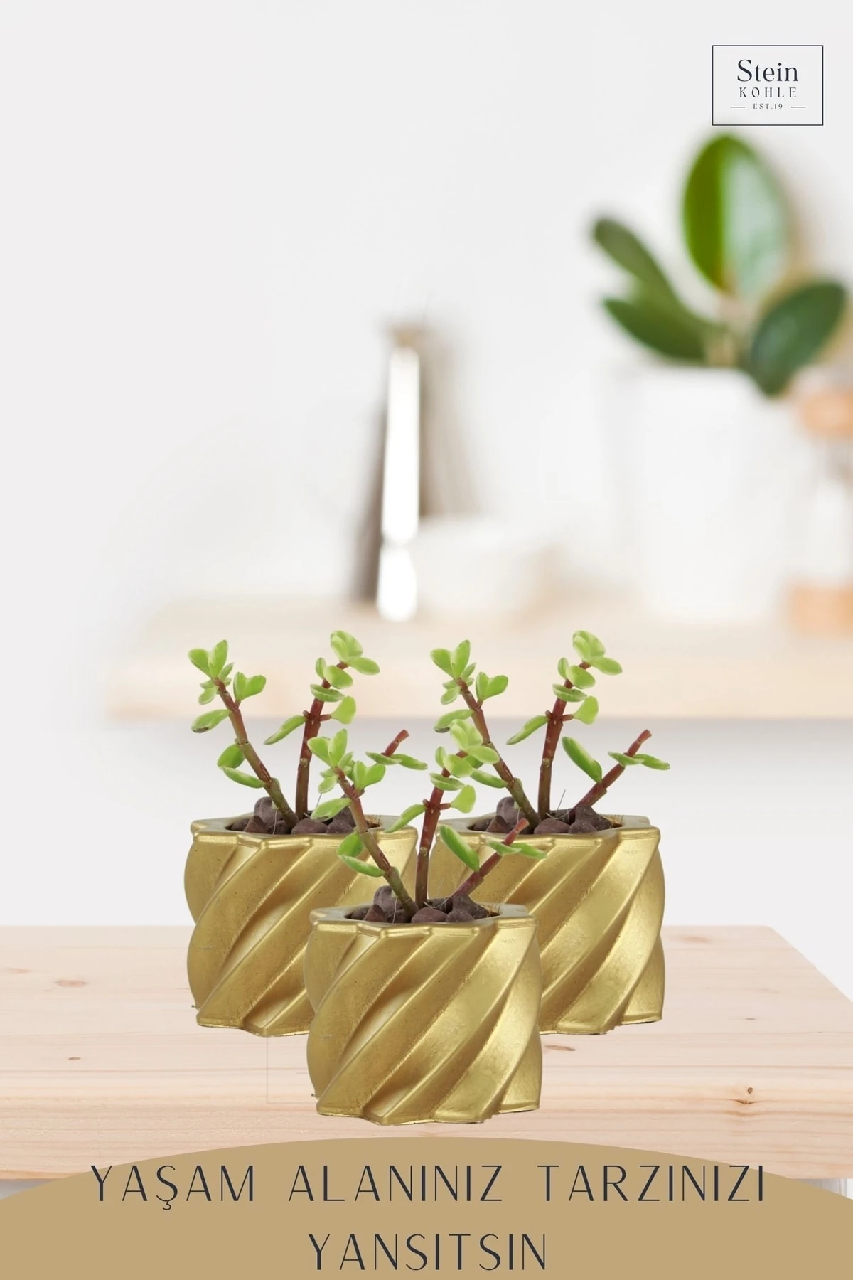 Altın thumbnail image