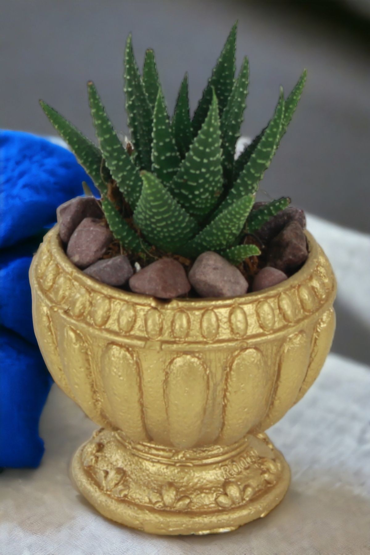 Altın thumbnail image
