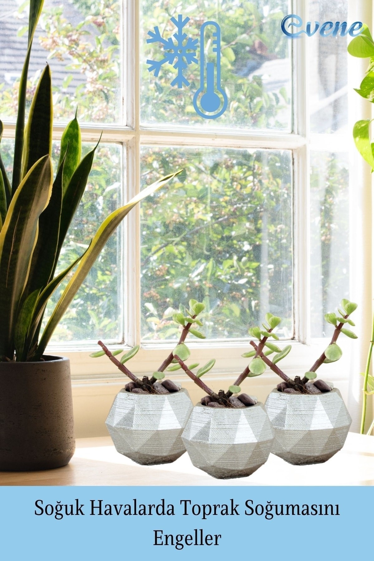 Mini Çiçek Saksı Küçük Sukulent Gümüş Kaktüs Saksısı 3'lü Set Mini Poly Silindir Model