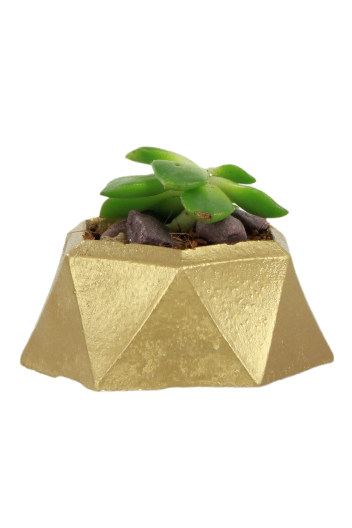 Mini Çiçek Saksı Küçük Sukulent Altın Kaktüs Saksısı Mini Poly 2 Model