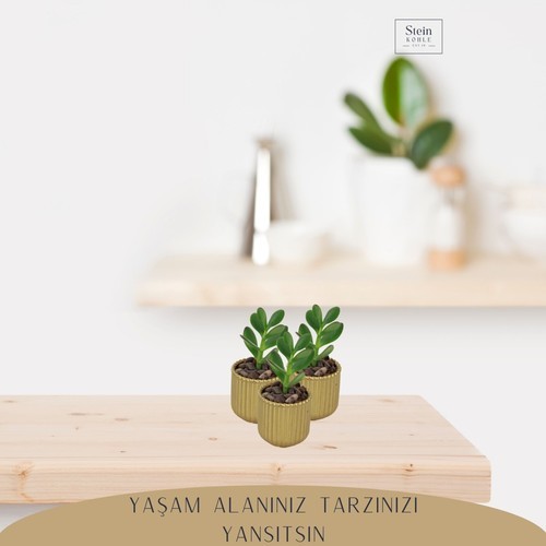 Stein Kohle Dekoratif Saksı Minik Kaktüs Saksısı Vintage Düz Çizgili Model
