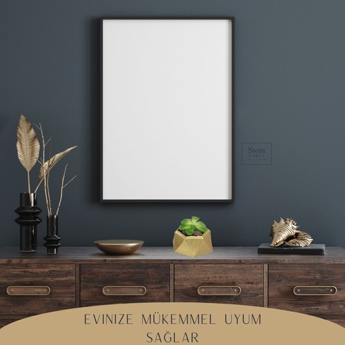 Stein Kohle Dekoratif Saksı Minik Kaktüs Saksısı Mini Poly 2 Model