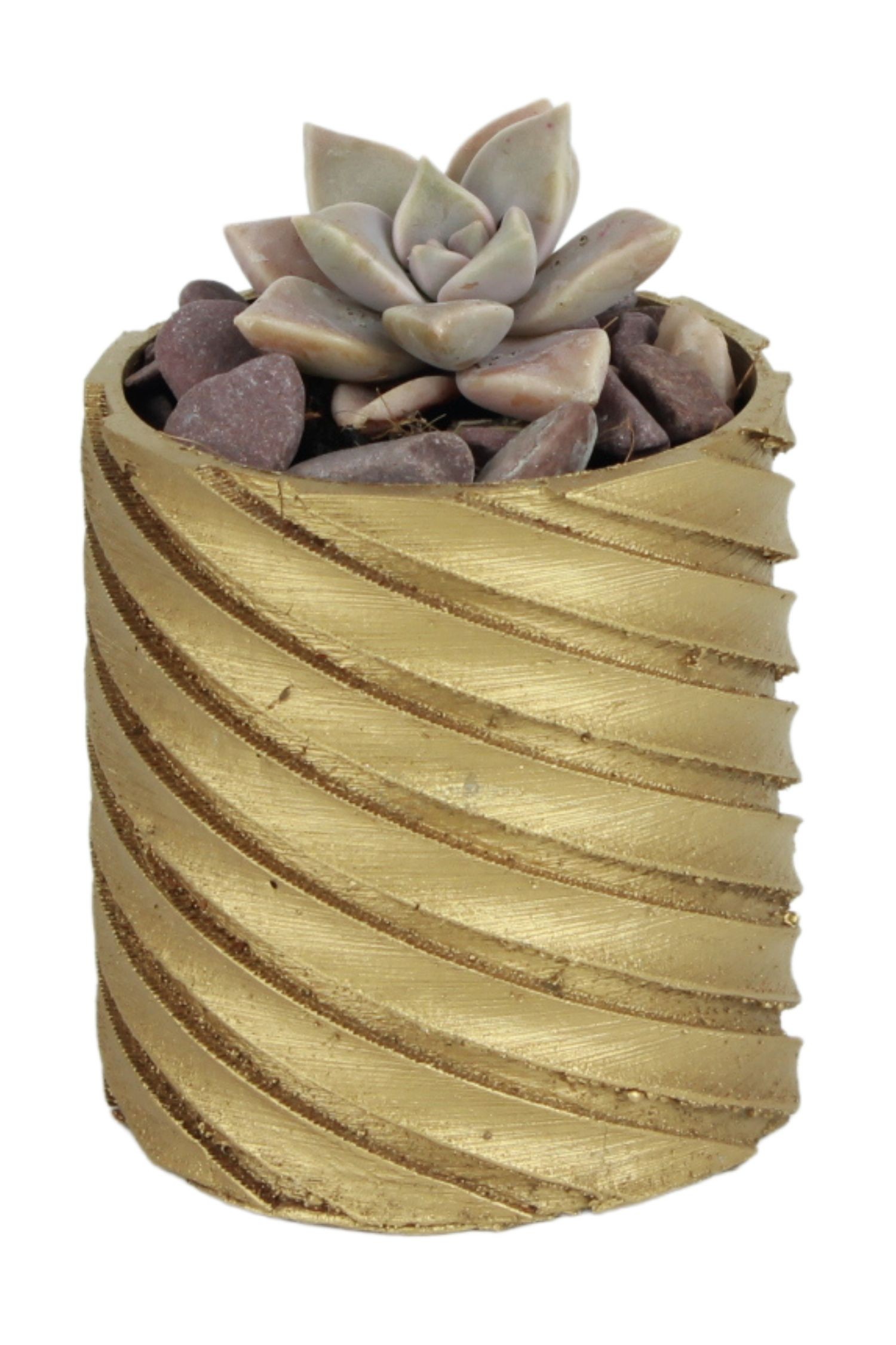 Altın thumbnail image