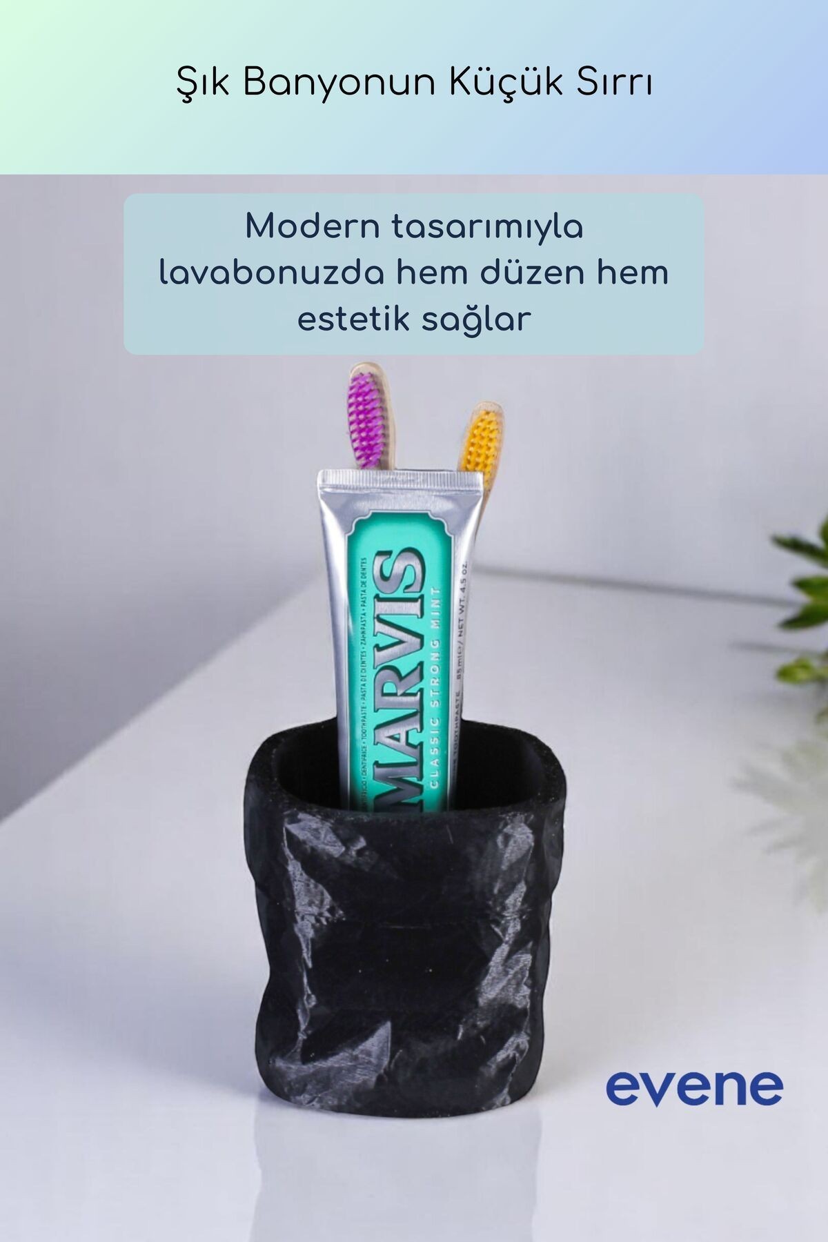 Diş Fırçalığı Diş Fırçalık Diş Fırçası Standı Diş Fırçası Tutucu Siyah Renk Model 80