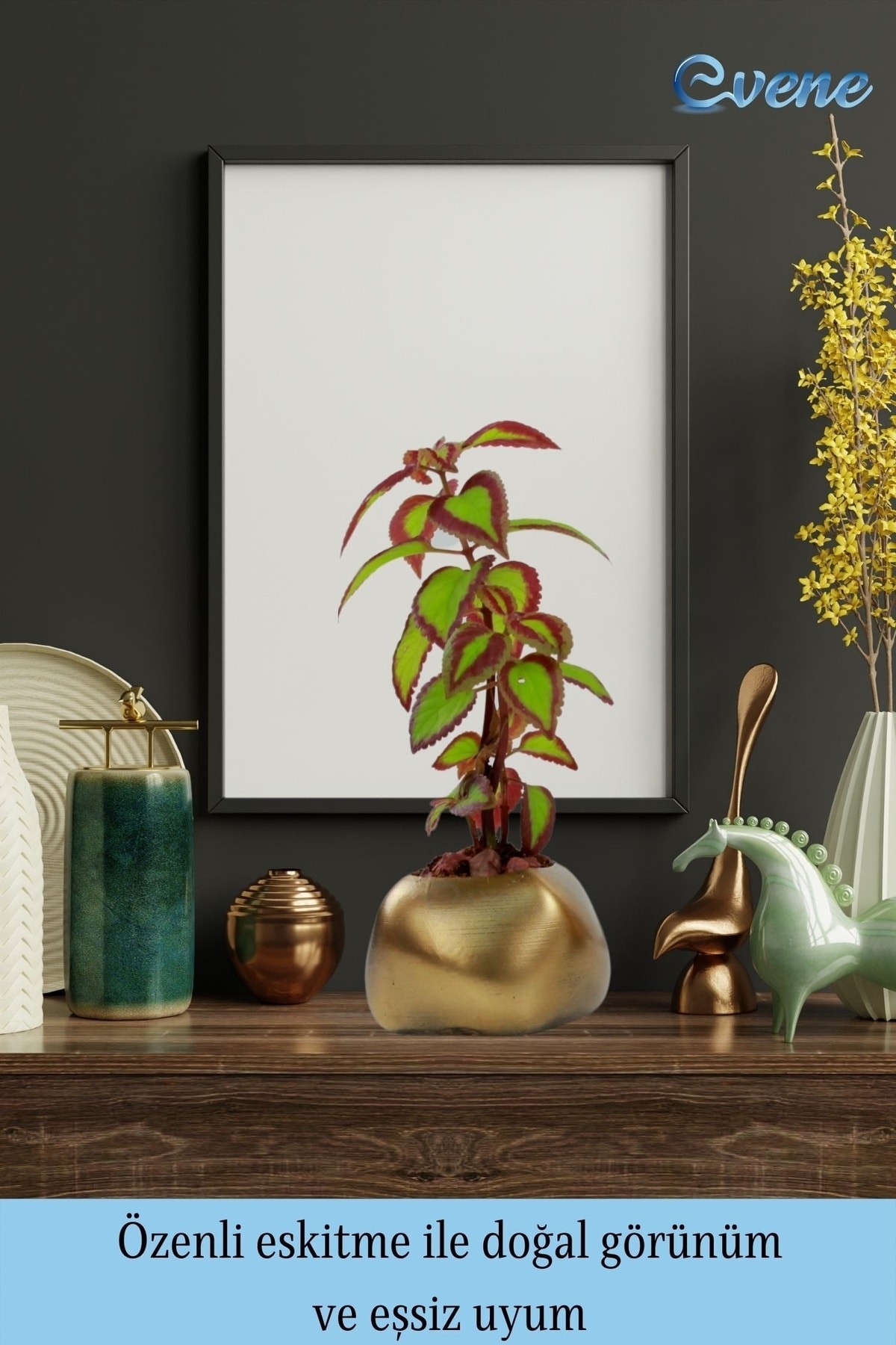 Saksı Çiçek Kaktüs Saksısı Lüx 14 Cm Altın Eskitme Varak Boyalı Elips Desen Saksı Çiçeklik