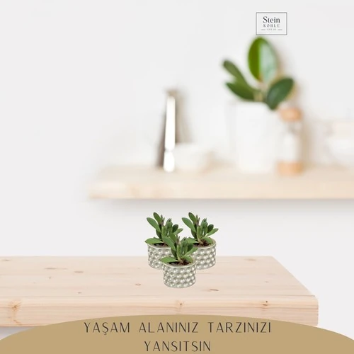 Dekoratif Saksı Minik Kaktüs Saksısı Puantiye Model