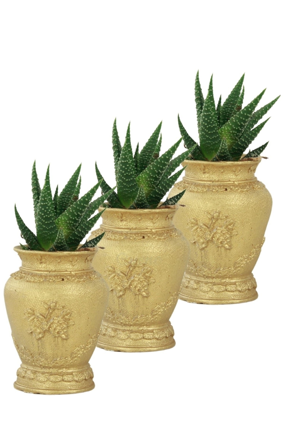 Mini Çiçek Saksı Küçük Sukulent Siyah Kaktüs Saksısı 3'lü Set Mini Desenli Vazo Saksı Model