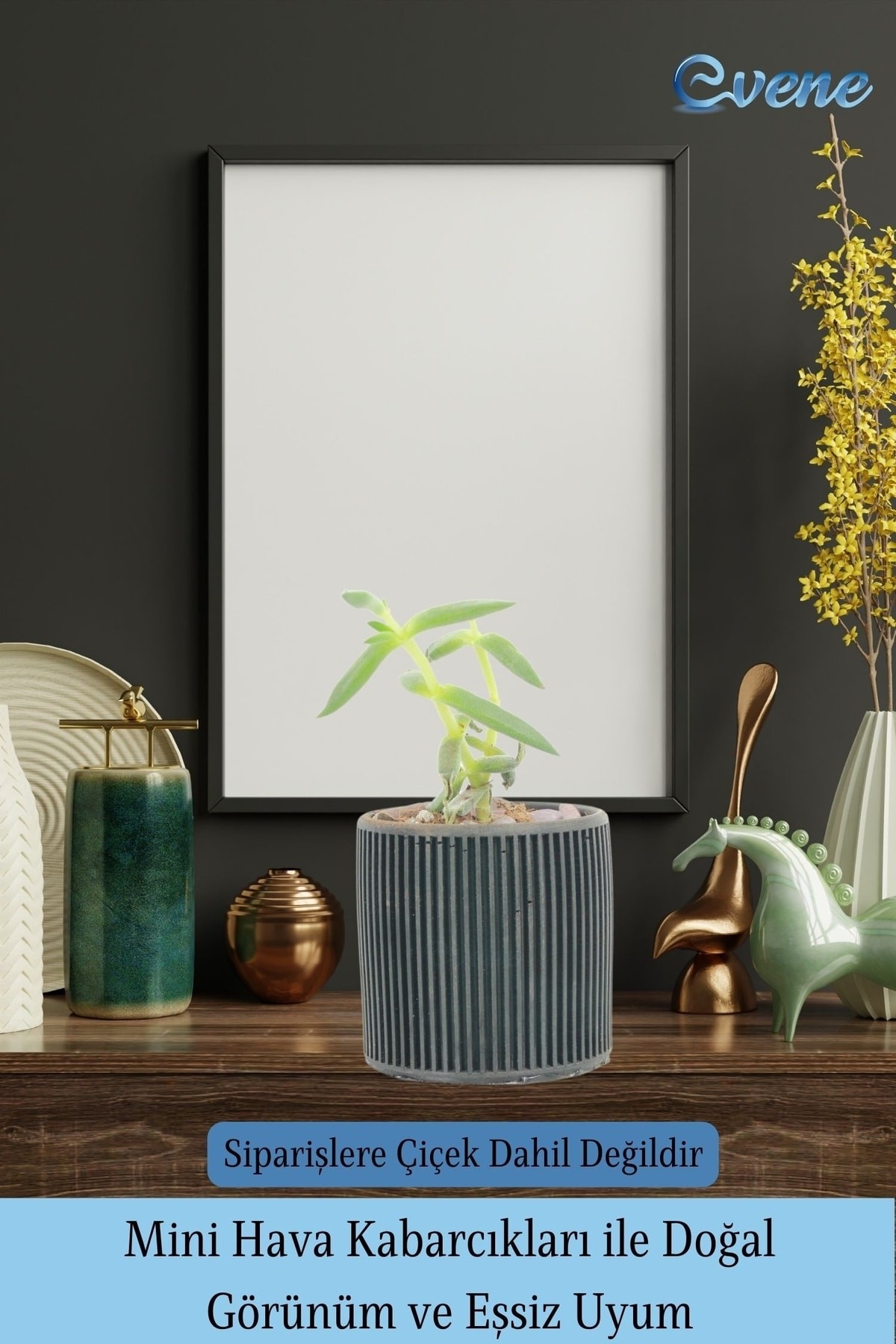 Mini Çiçek Saksı Küçük Sukulent Siyah Kaktüs Saksısı Düz İnce Çizgili Model