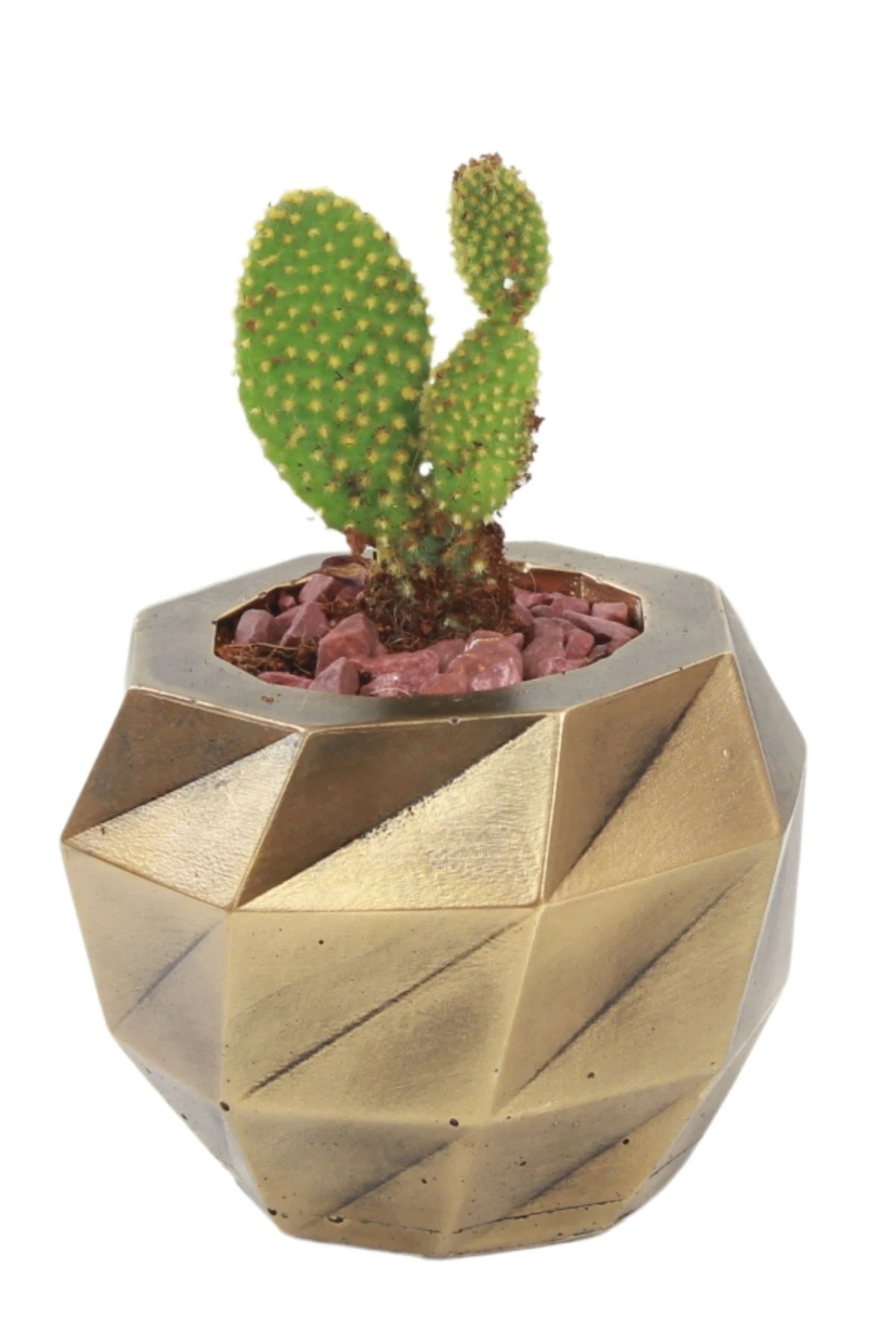 ALTIN ESKİTME thumbnail image