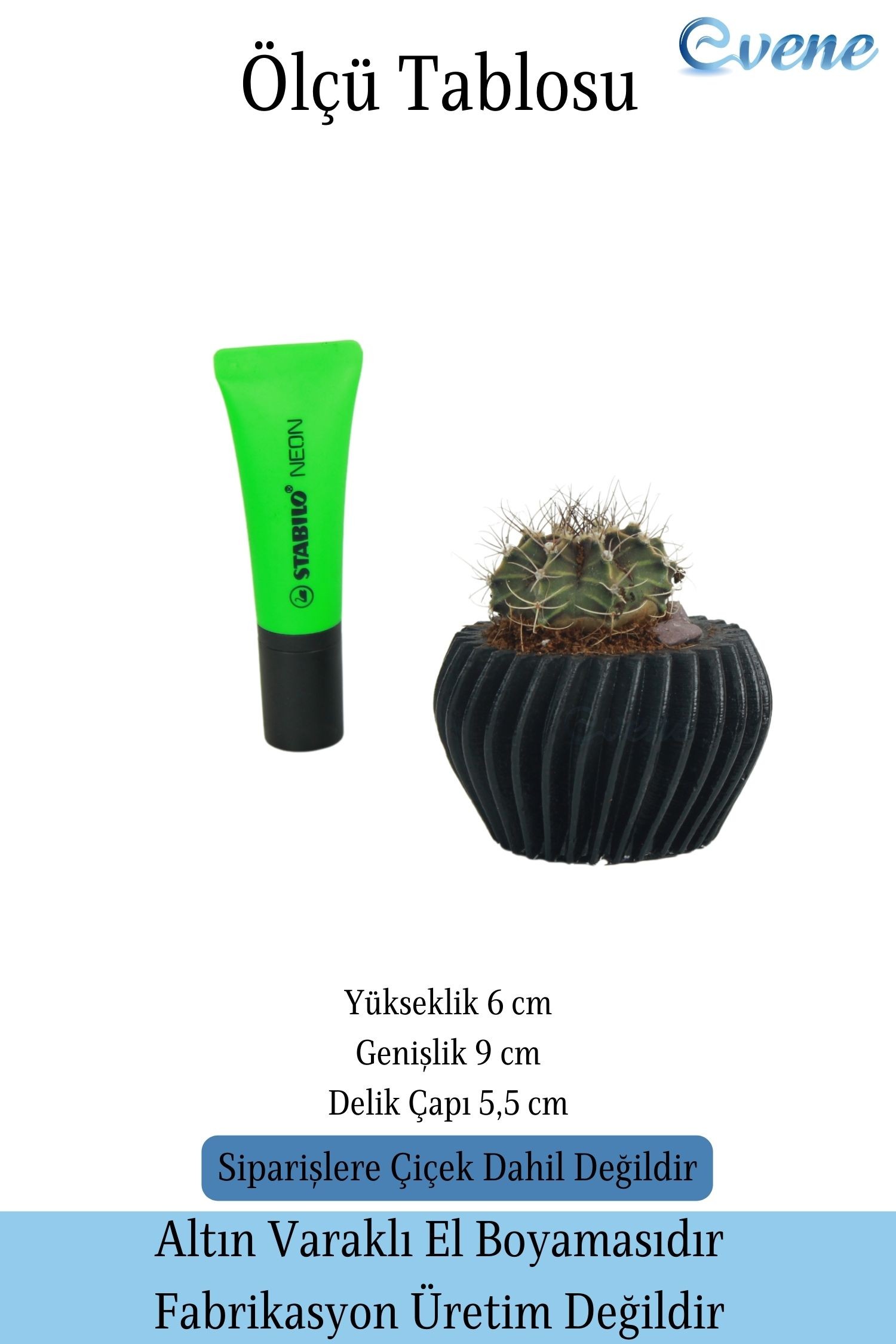 Mini Çiçek Saksısı Küçük Sukulent Siyah Kaktüs Saksı Derin Çizgili Model