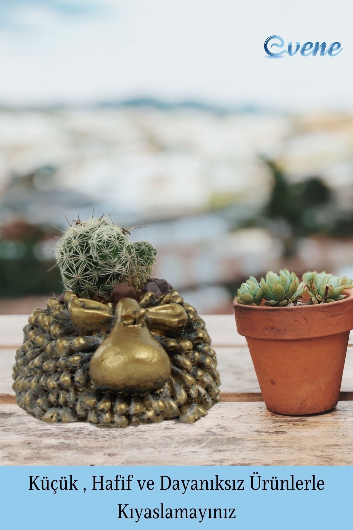 Mini Çiçek Saksı Küçük Sukulent Gümüş Kaktüs Saksısı Sevimli Koyun Model