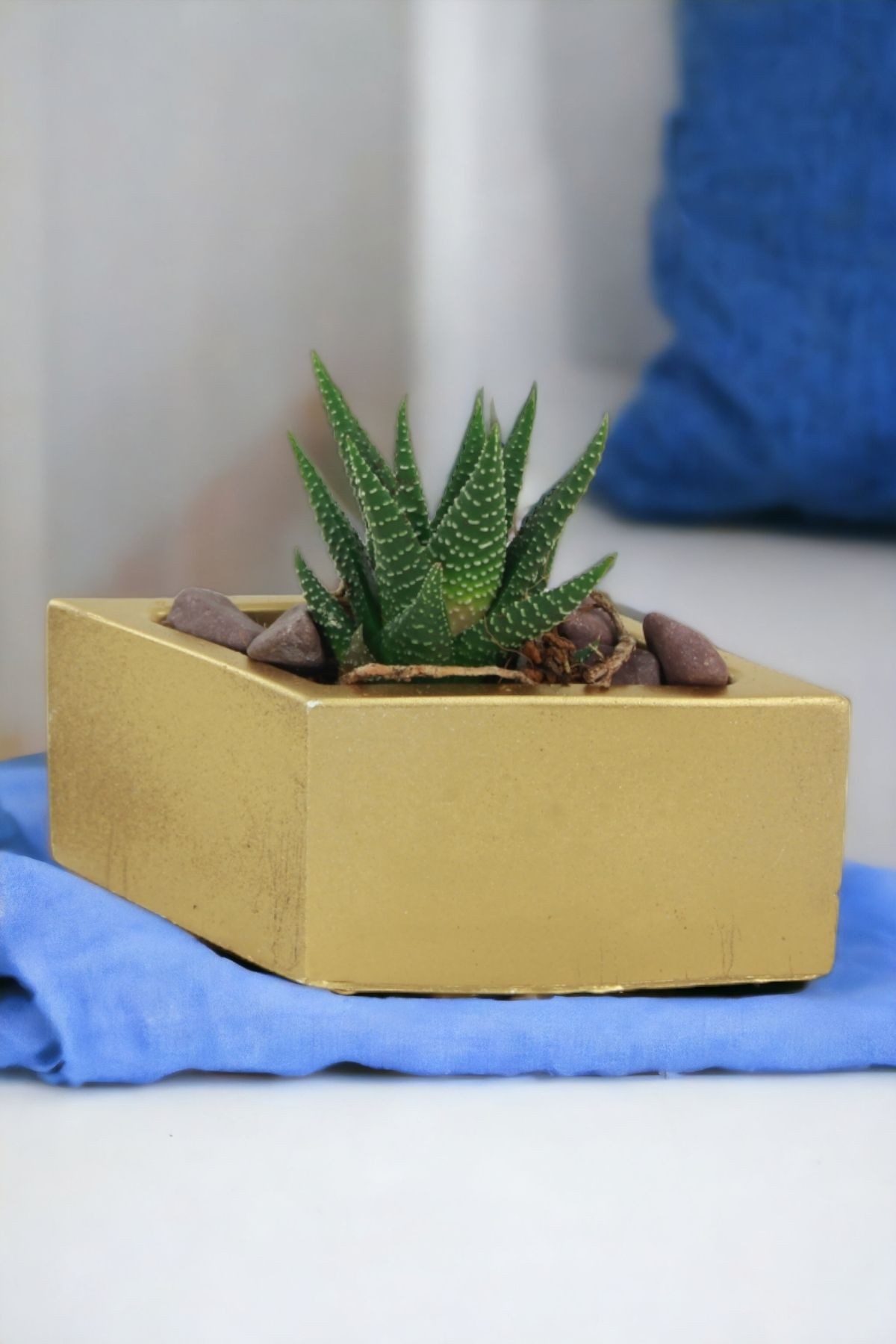 Altın thumbnail image