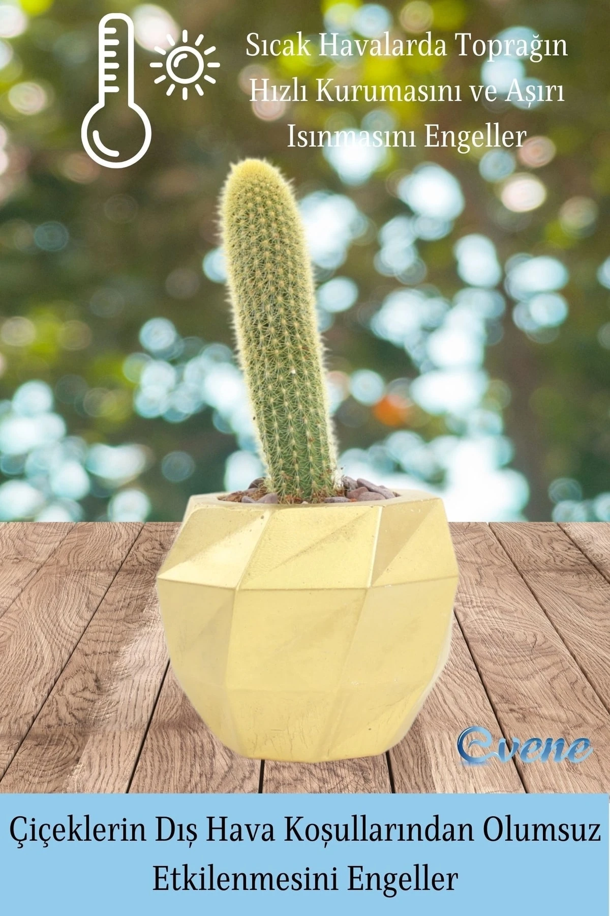 Saksı Çiçek Kaktüs Saksısı Lüx 13 cm Altın Varak Boyalı Burgu Desen Saksı Çiçeklik