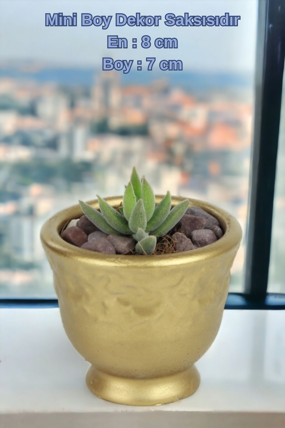 Altın thumbnail image