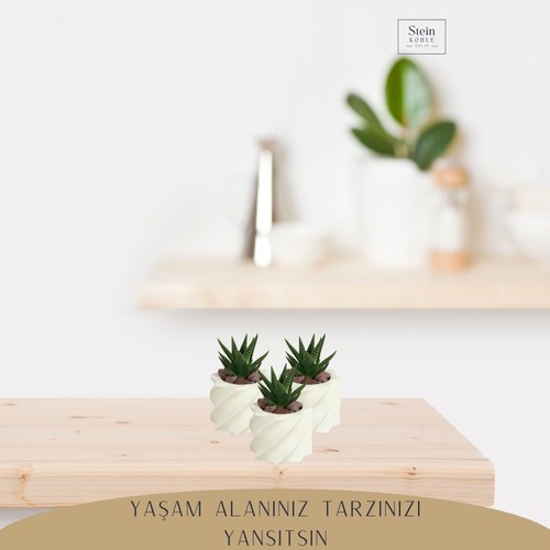 Dekoratif Saksı Minik Kaktüs Saksısı Kalın Çizgi Yıldız Model