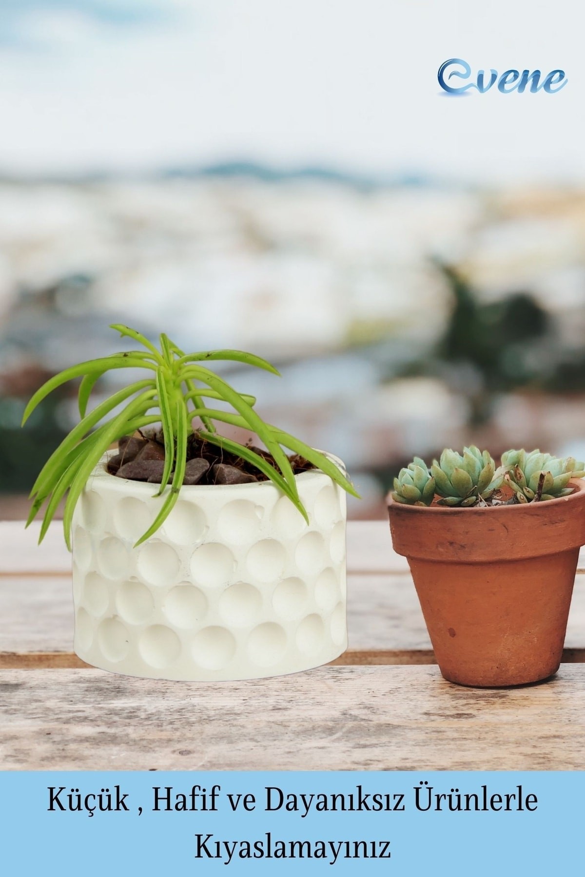 Mini Çiçek Saksı Küçük Sukulent Beyaz Kaktüs Saksısı 3'lü Set Puantiyeli Model