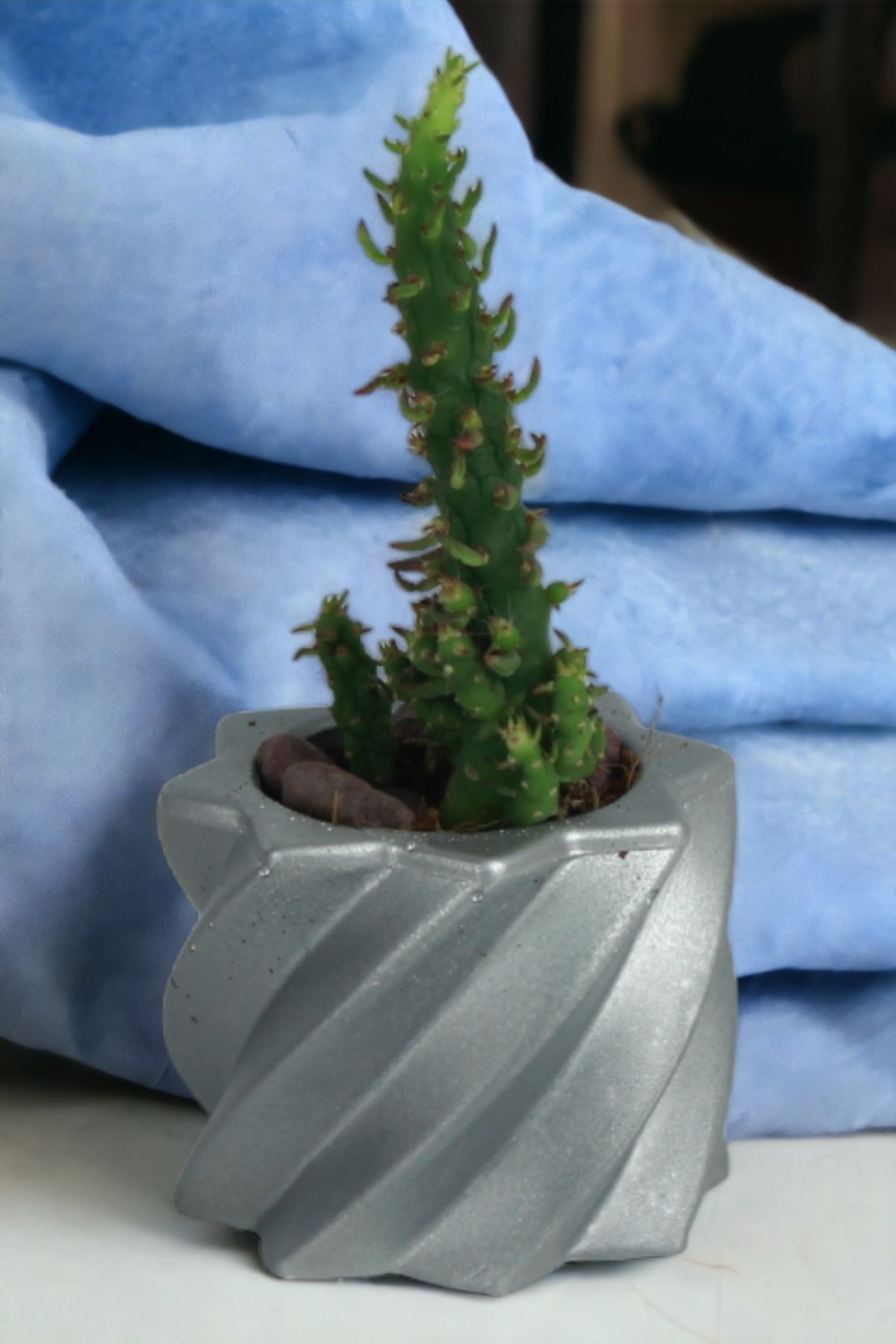 Gümüş thumbnail image