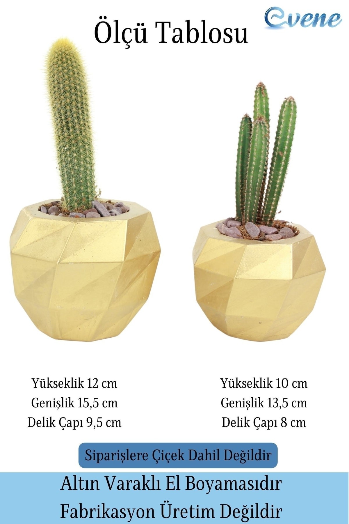 Saksı Çiçek Kaktüs Saksısı Lüx 15 cm Altın Varak Boyalı Burgulu Desen Saksı 2'li Set Çiçeklik