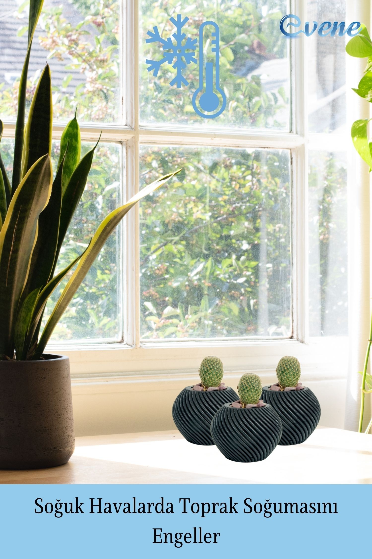Mini Çiçek Saksısı Küçük Sukulent Siyah Kaktüs Saksı İnce Çizgili Spiral Model