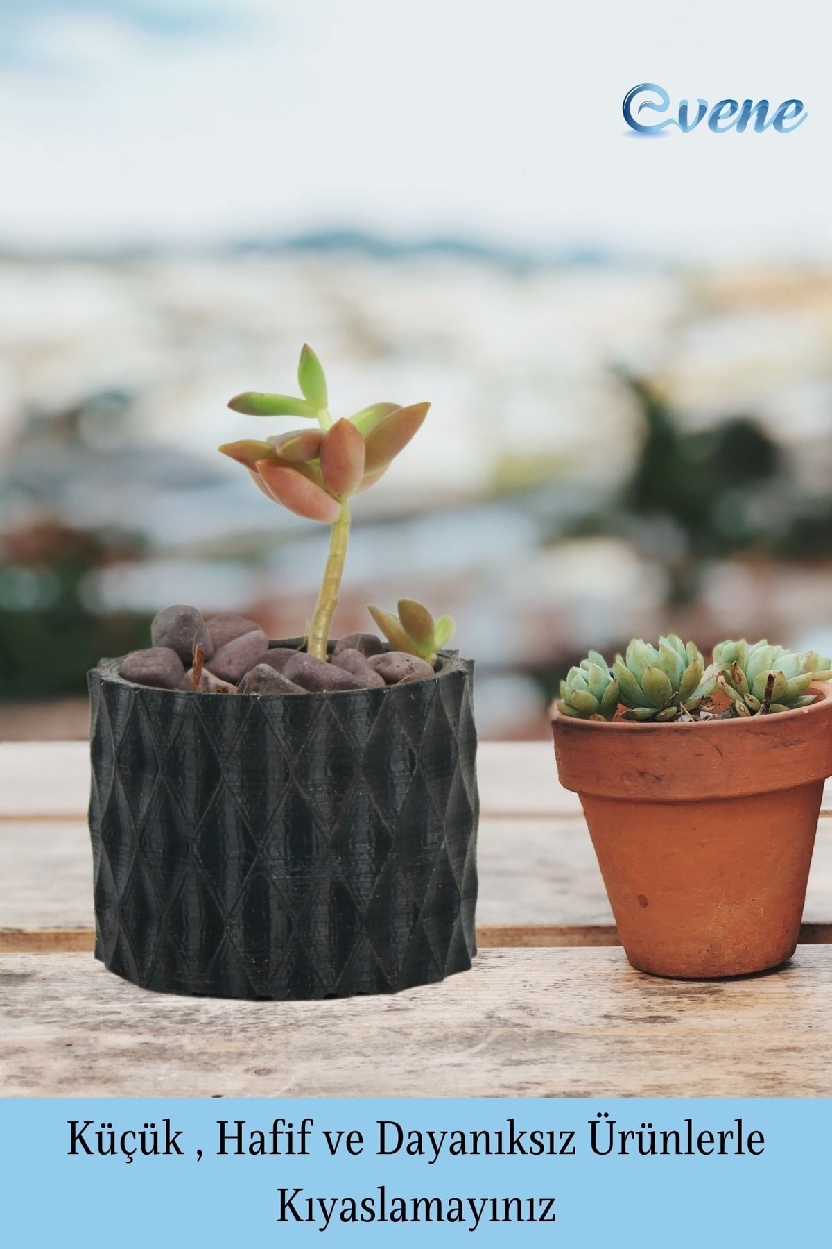 Mini Çiçek Saksı Küçük Sukulent Siyah Kaktüs Saksısı Baklava Çizgili Model