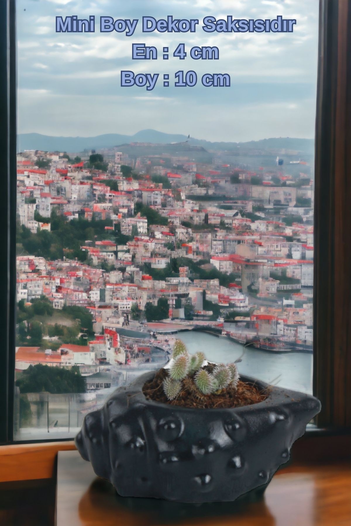 SİYAH thumbnail image