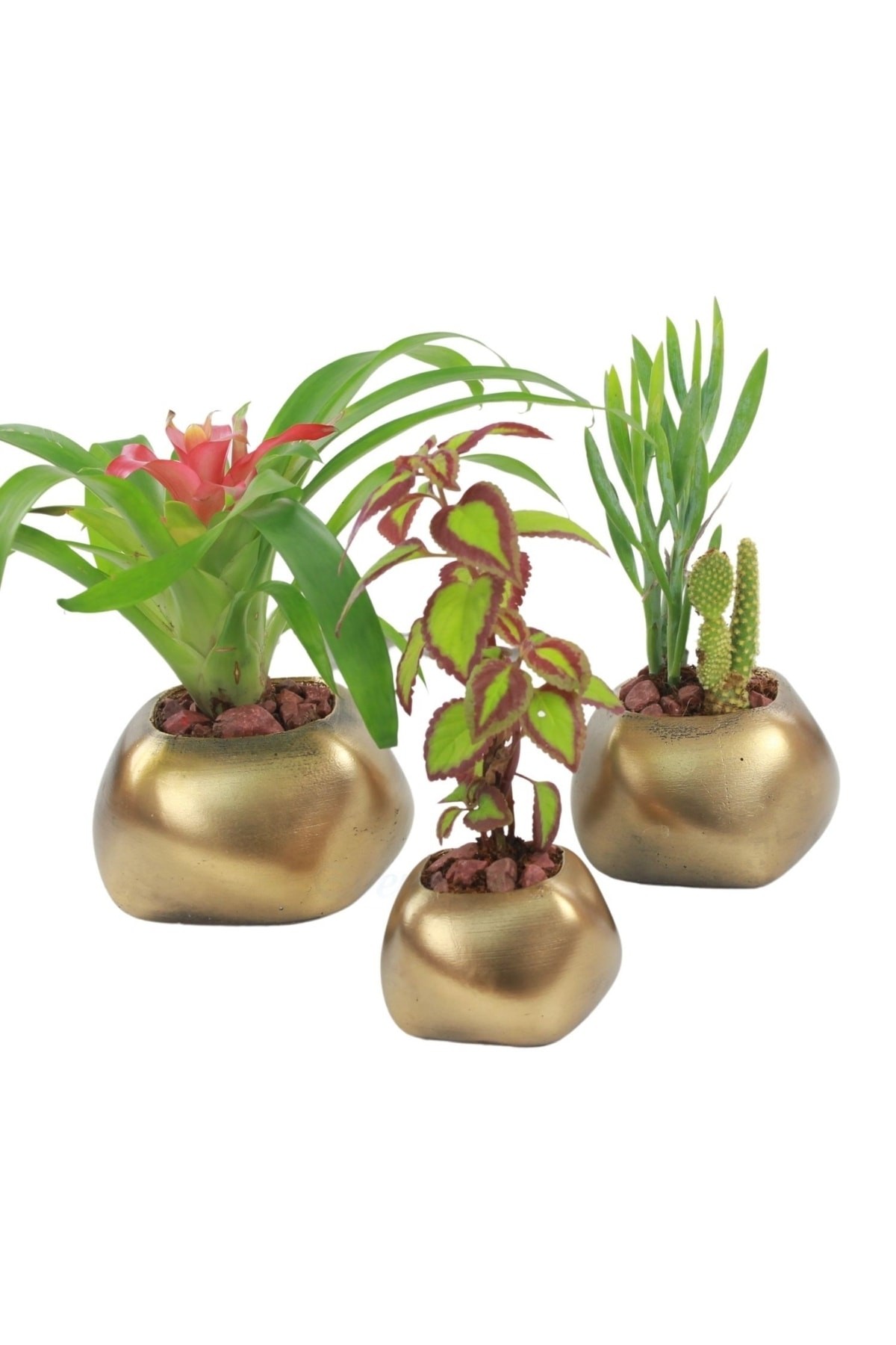 Saksı Çiçek Kaktüs Saksısı Lüx 14 Cm Altın Eskitme Varak Boyalı Elips Desenli 3'lü Set Çiçeklik