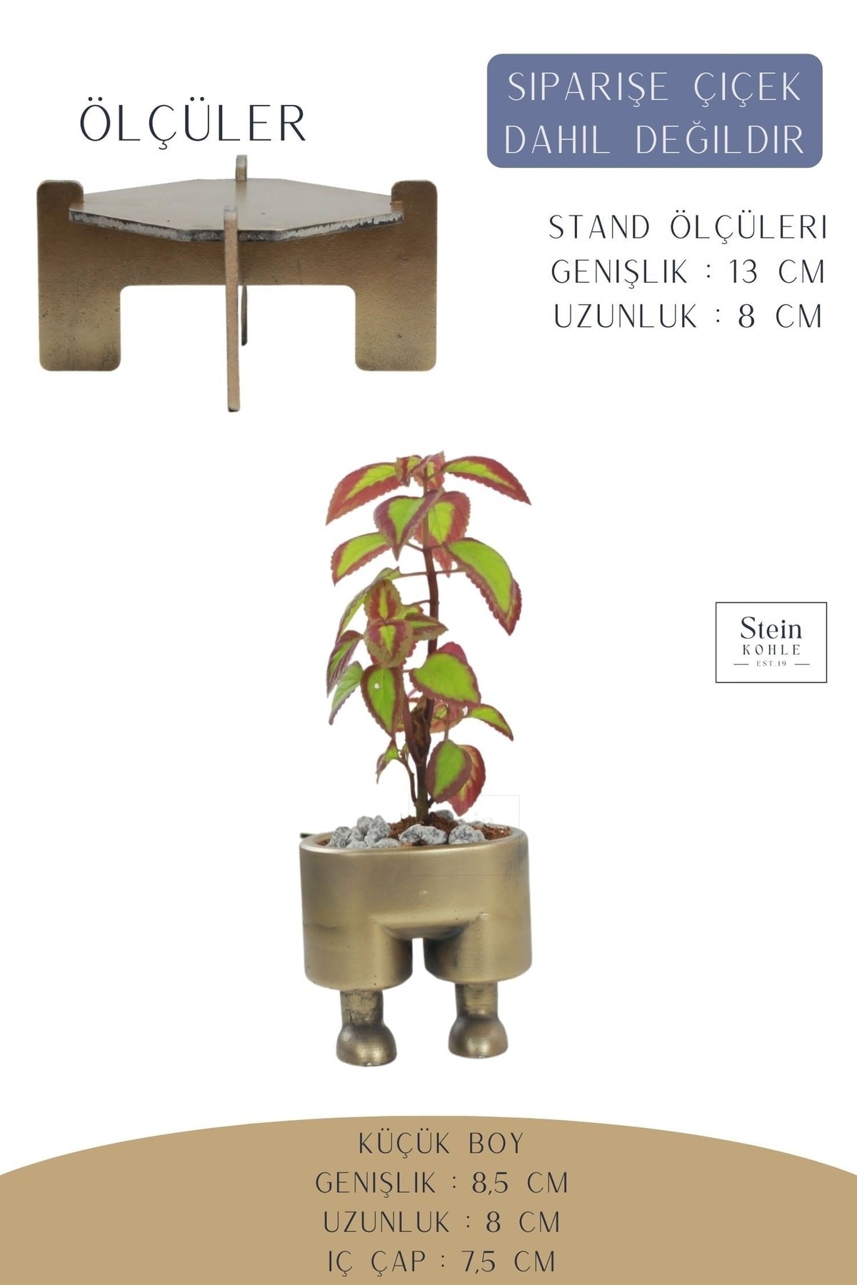Ayaklı Saksı Ahşap Dekoratif Kaktüs Saksısı 1 Adet Altın Renk Eskitme Uygulamalı Pantolon Model