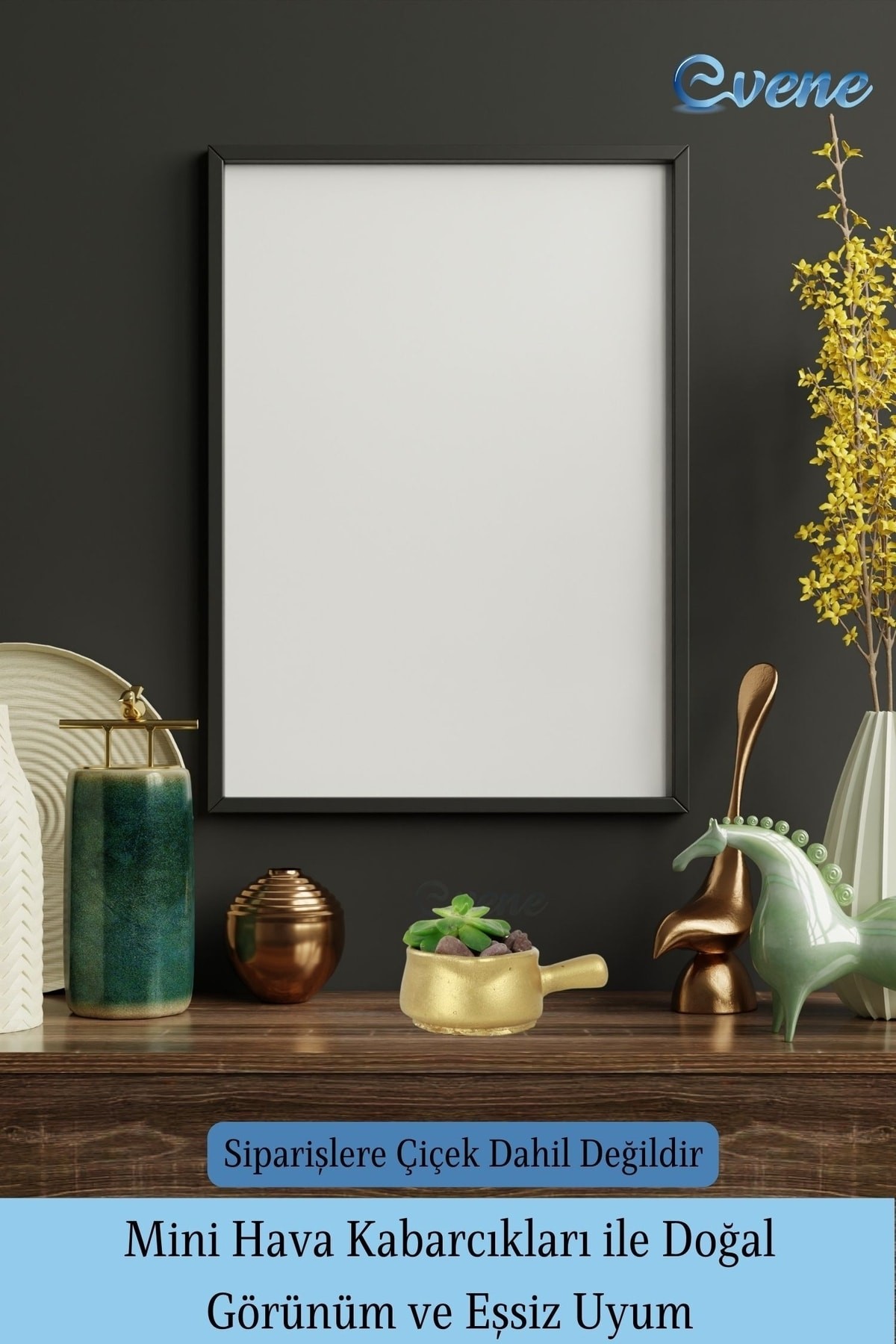 Mini Çiçek Saksı Küçük Sukulent Altın Kaktüs Saksısı Tava Model