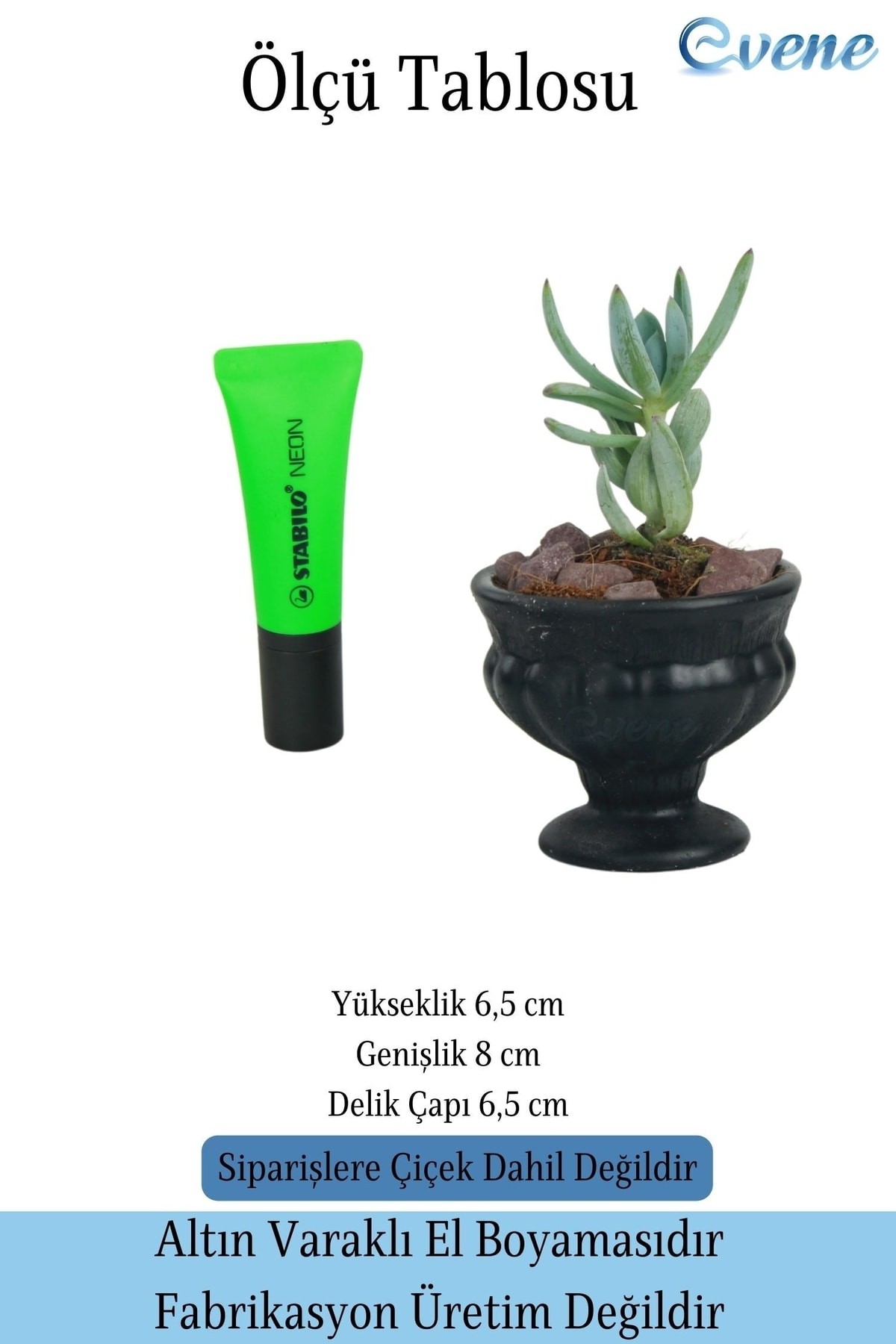 Kaktüs Saksısı Dekoratif Saksı Model 3