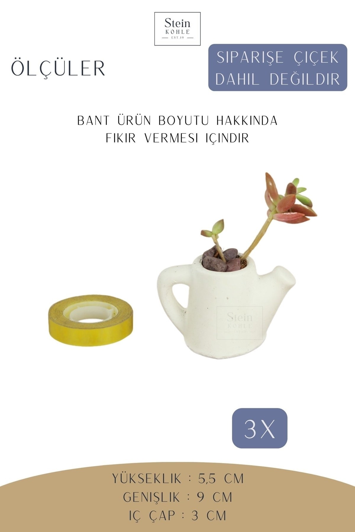 Dekoratif Saksı Minik Kaktüs Saksısı Beyaz Renk 3 Adet Saksı Seti Mini Çaydanlık Model