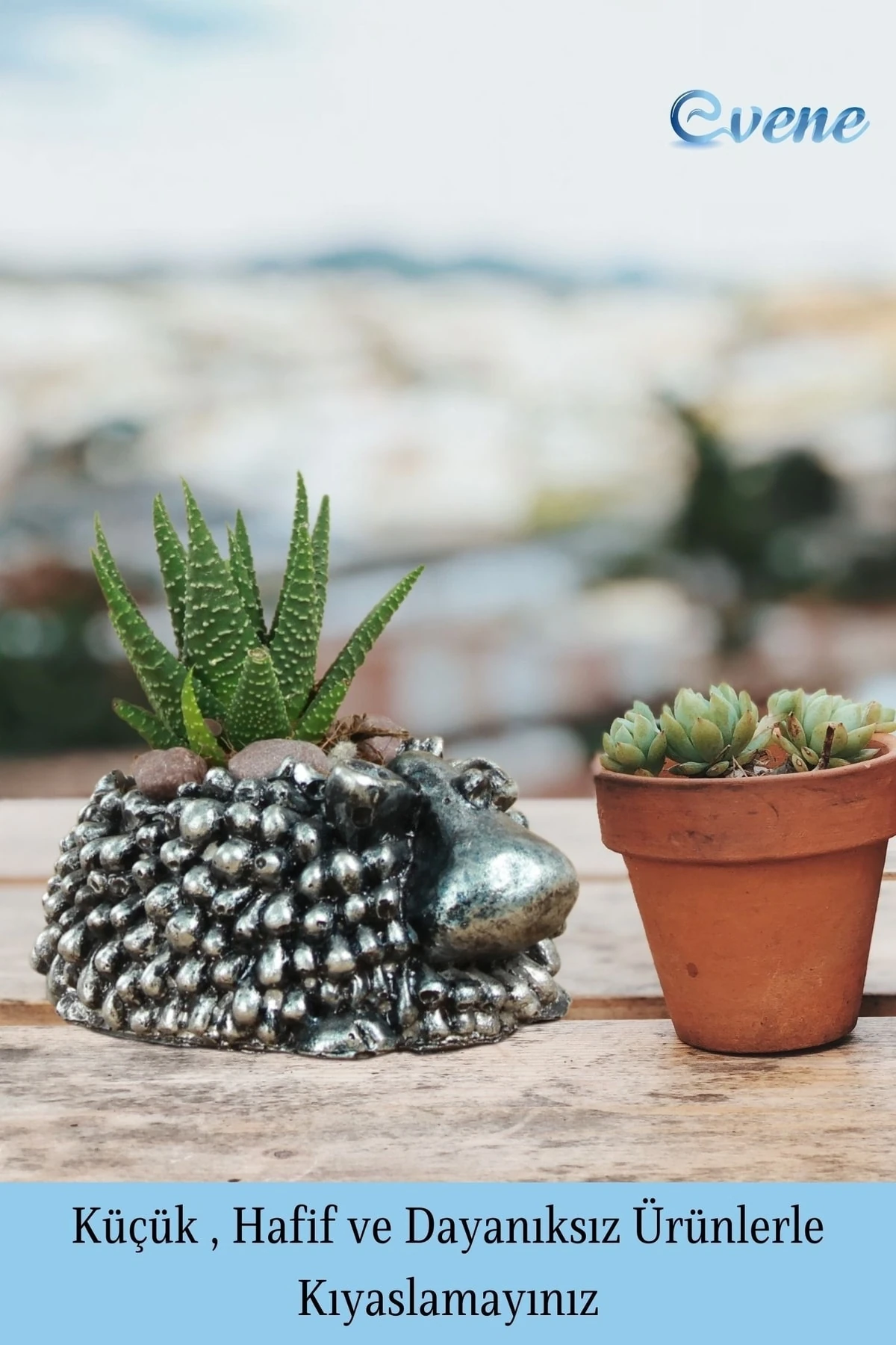 Mini Çiçek Saksı Küçük Sukulent Gümüş Eskitme Kaktüs Saksısı 3'lü Set Koyun Model