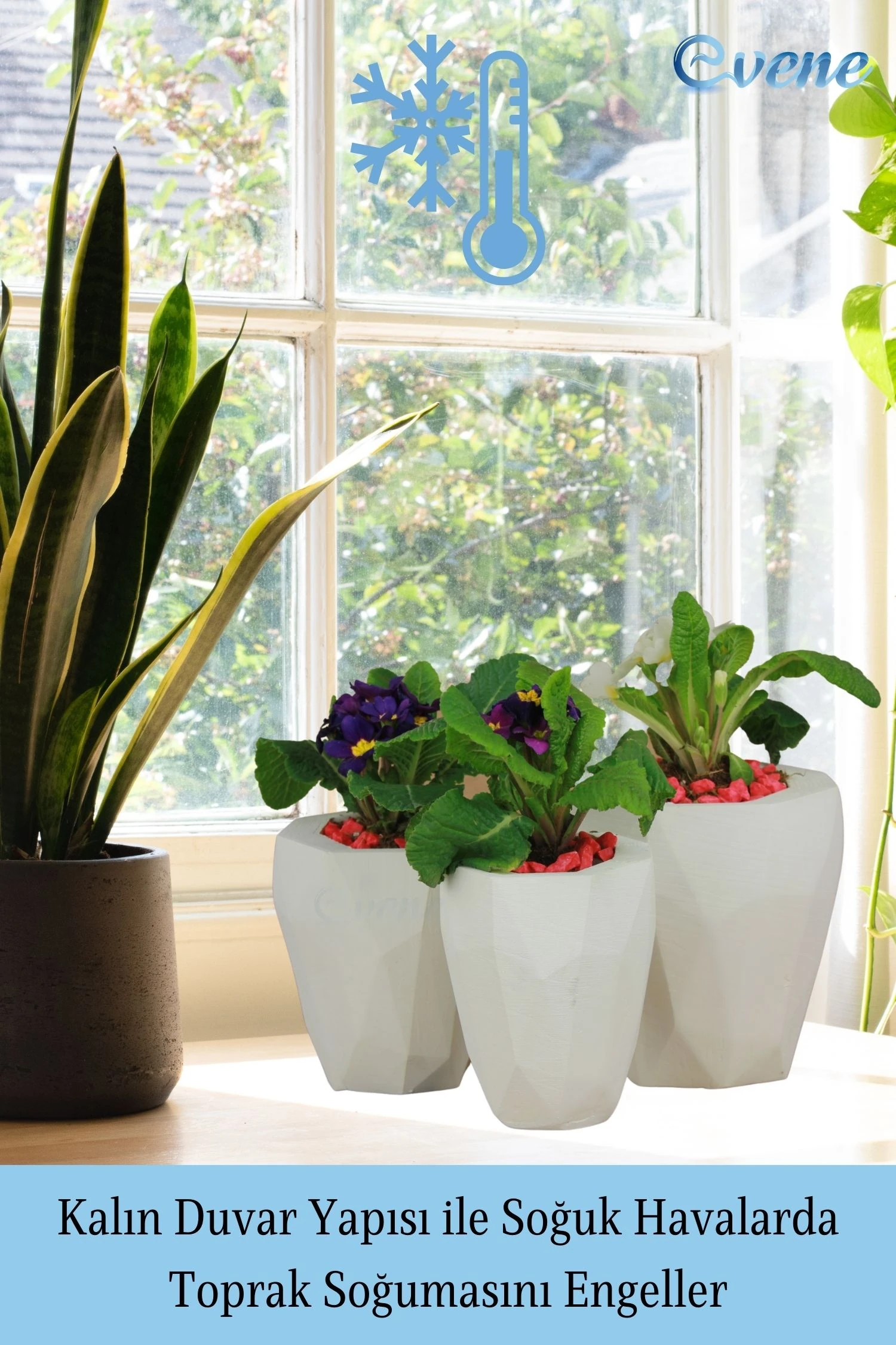 Çiçek Saksısı Beyaz Beton Saksı Model Uzun Poly