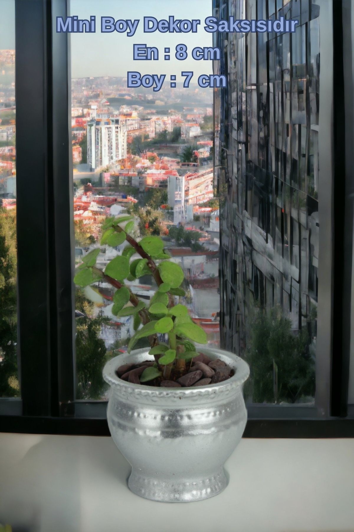 Gümüş thumbnail image