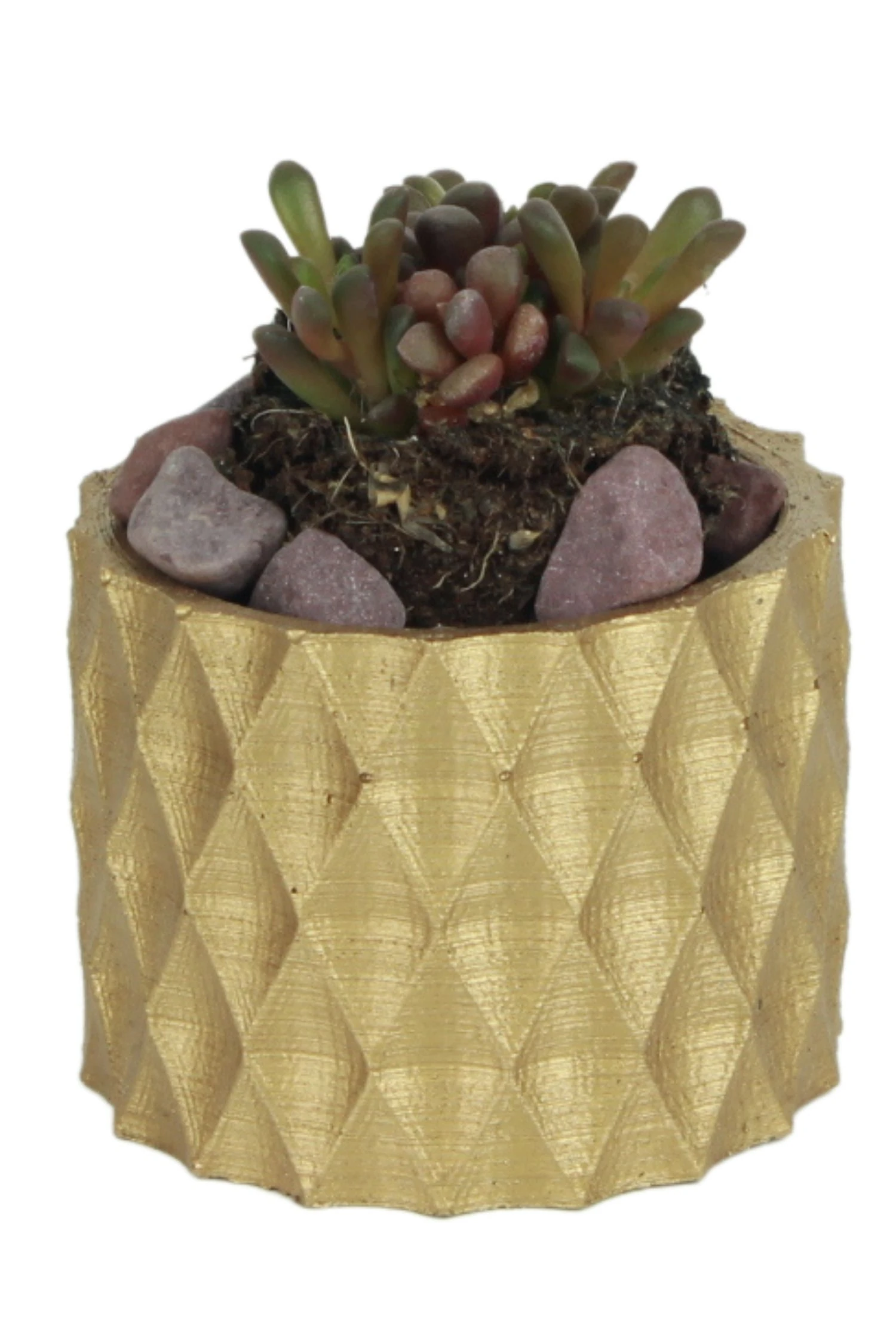 Mini Çiçek Saksısı Küçük Sukulent Altın Kaktüs Saksı Baklava Model