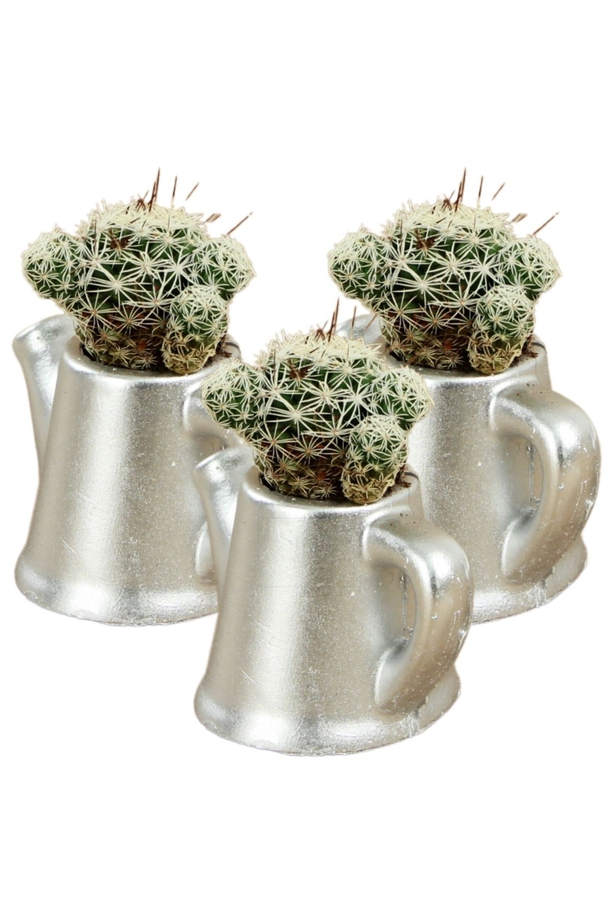 Gümüş thumbnail image