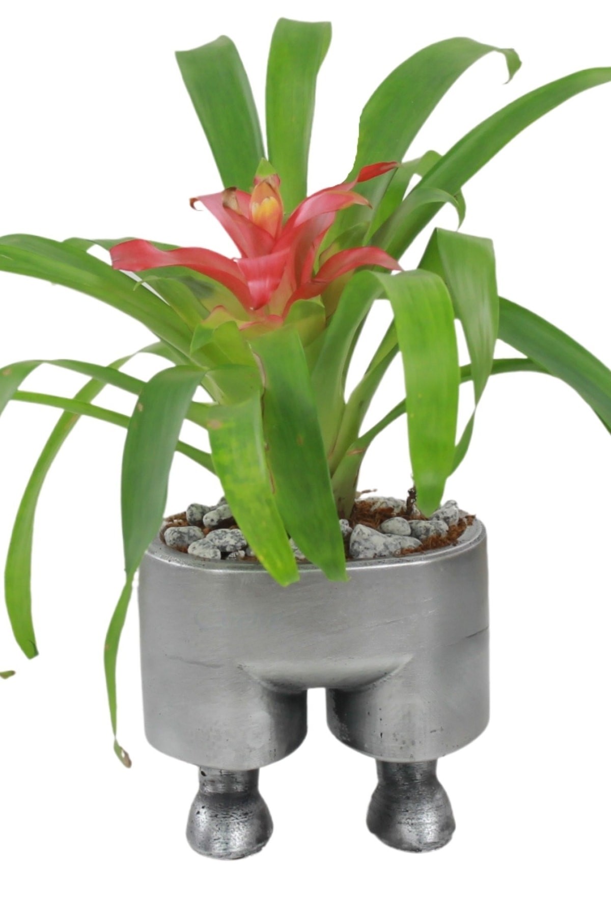 Saksı Çiçek Kaktüs Saksısı Lüx 13 Cm Gümüş Eskitme Varak Boyalı Pantolon Desen Saksı Çiçeklik