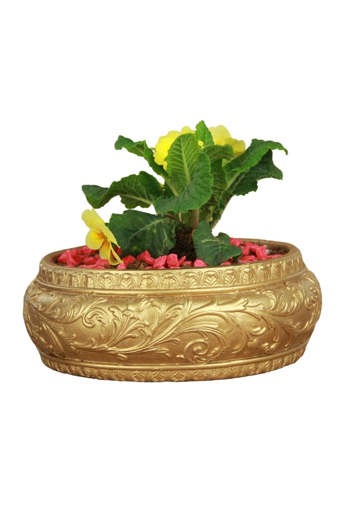 Altın thumbnail image