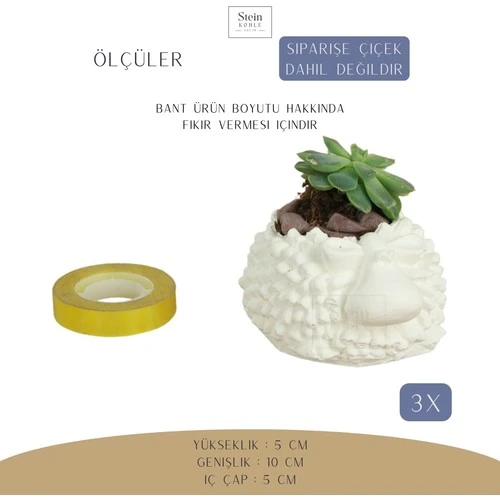 Stein Kohle Dekoratif Saksı Minik Kaktüs Saksısı Koyun Model