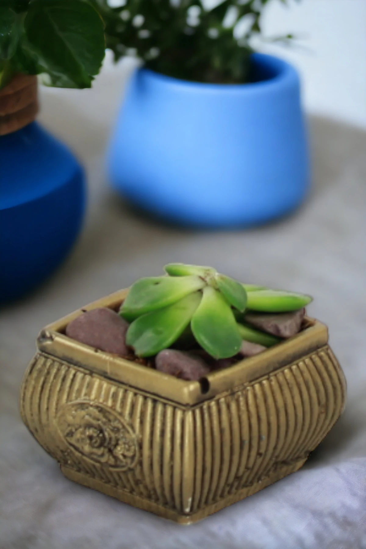 ALTIN ESKİTME thumbnail image