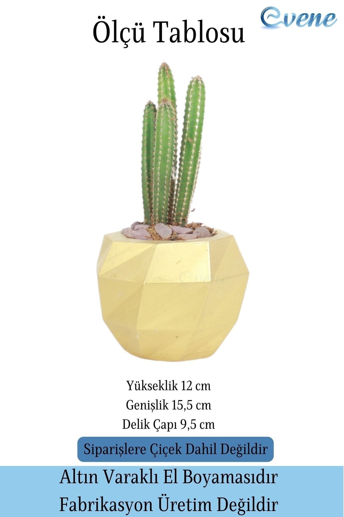 Saksı Çiçek Kaktüs Saksısı Lüx 15 Cm Altın Varak Boyalı Burgulu Desen Saksı Çiçeklik