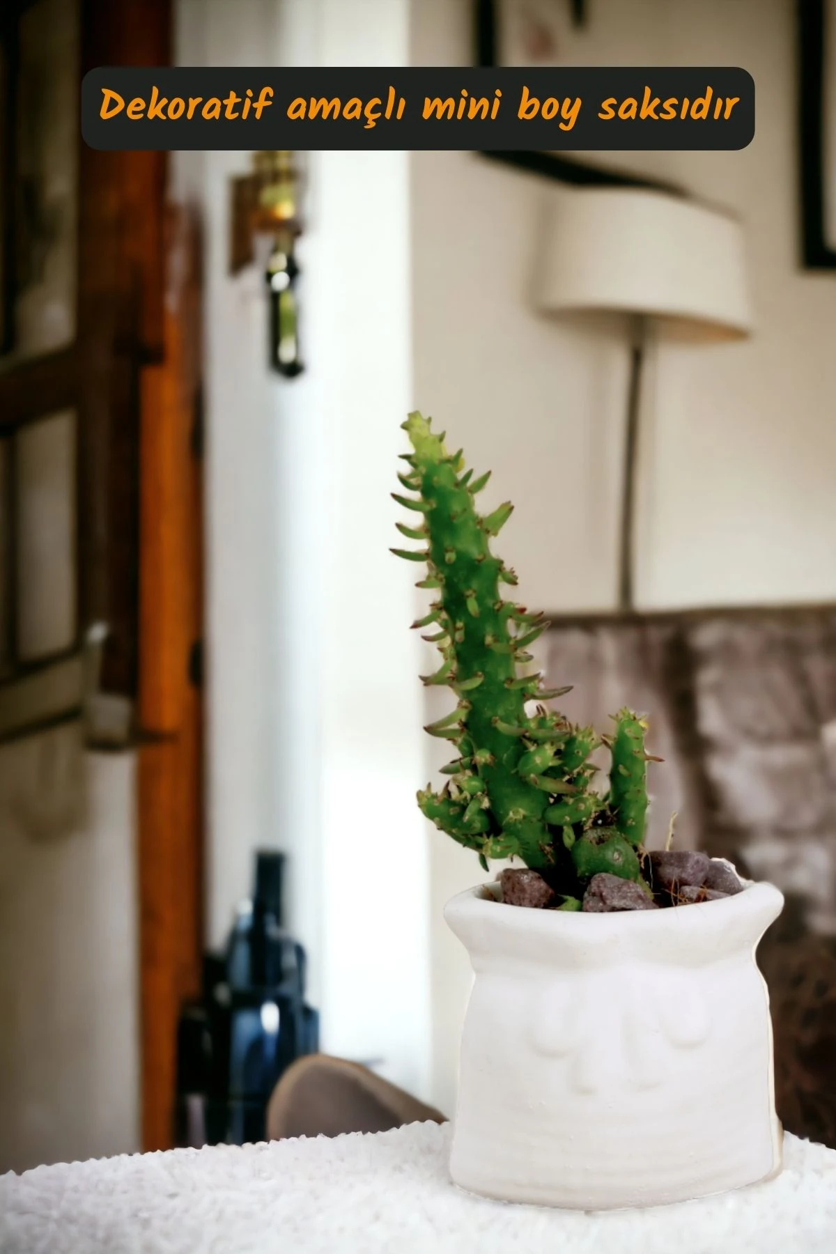 Beyaz thumbnail image