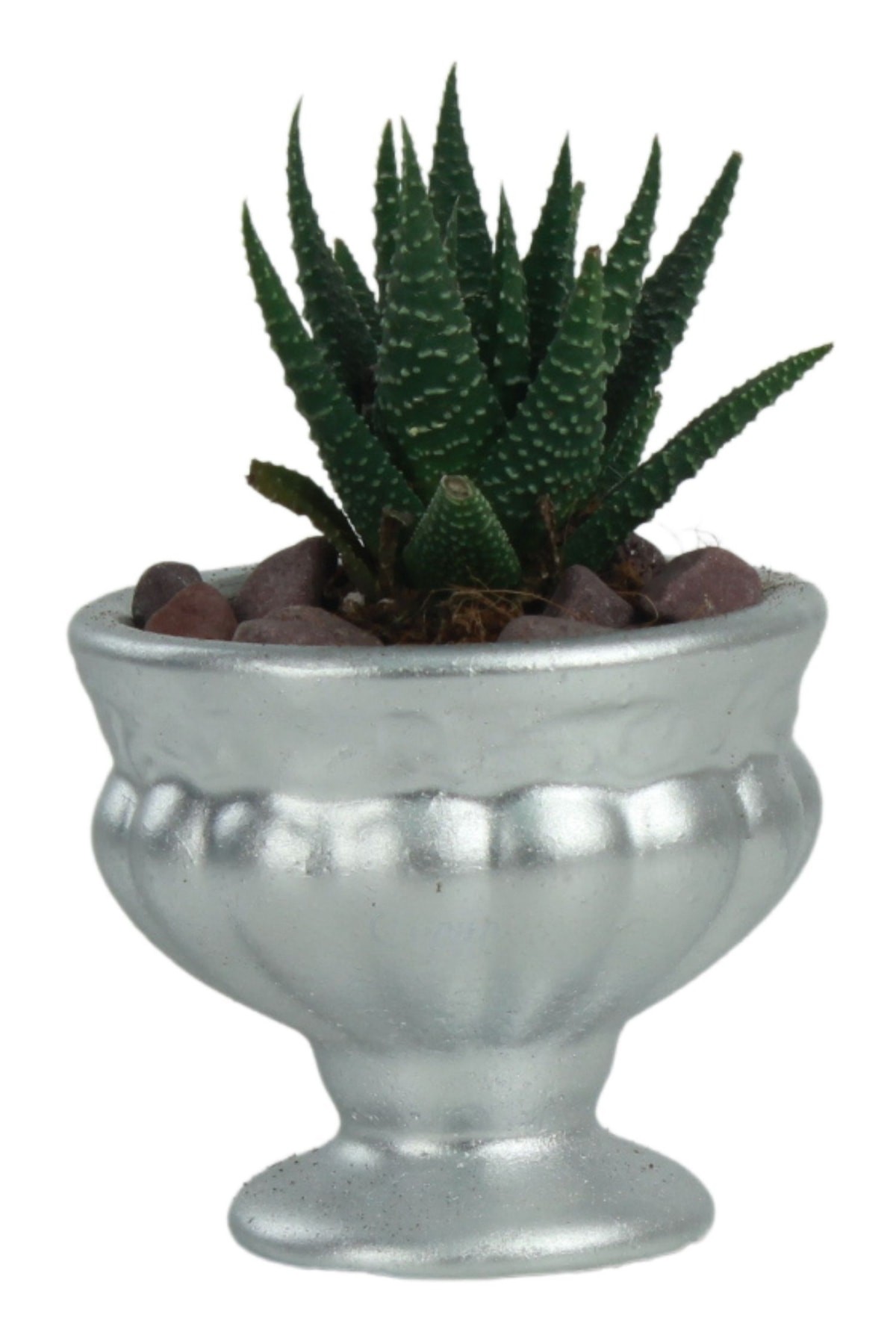 Gümüş thumbnail image