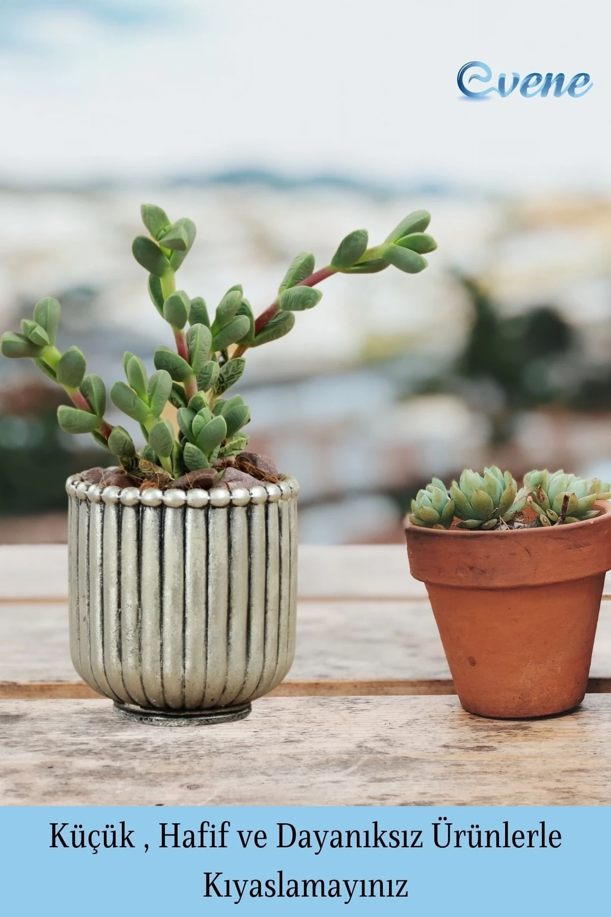 GÜMÜŞ ESKİTME thumbnail image