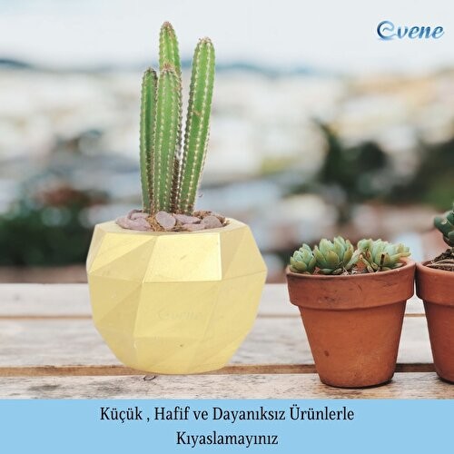 Evene Saksı Çiçek Kaktüs Saksısı Lüx 15 cm Boyalı Burgulu Desen Saksı 2li Set Çiçeklik