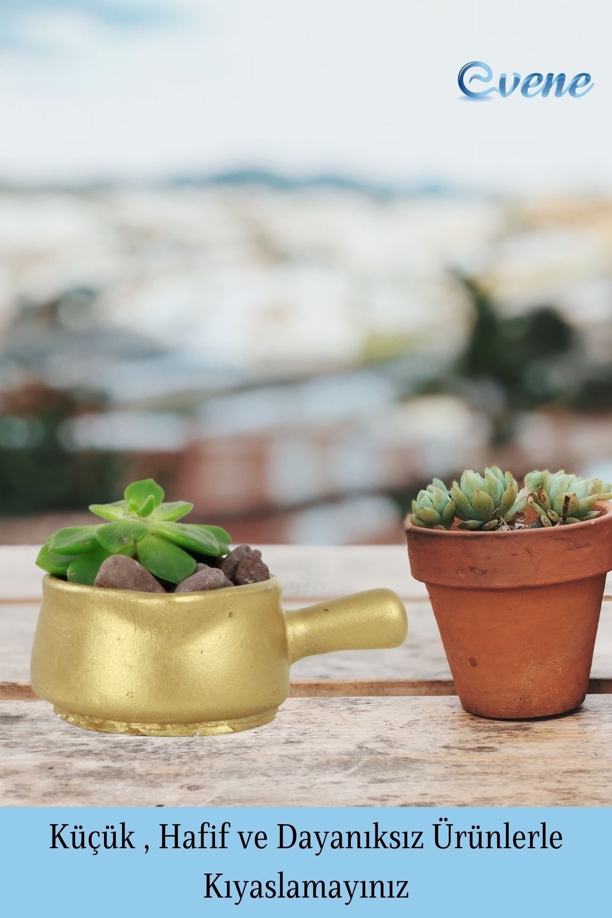 Mini Çiçek Saksı Küçük Sukulent Altın Kaktüs Saksısı 3'lü Set Mini Tava Model
