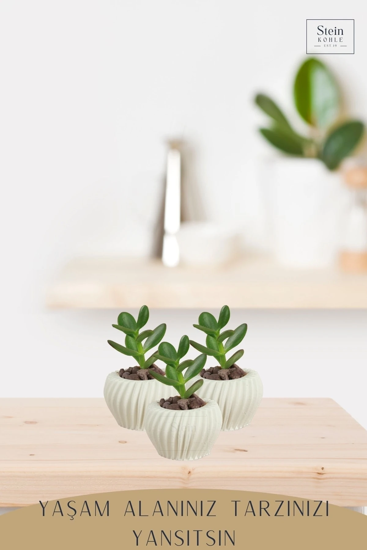 Dekoratif Saksı Minik Kaktüs Saksısı Beyaz Renk 1 Adet Derin Çizgili Spiral Model