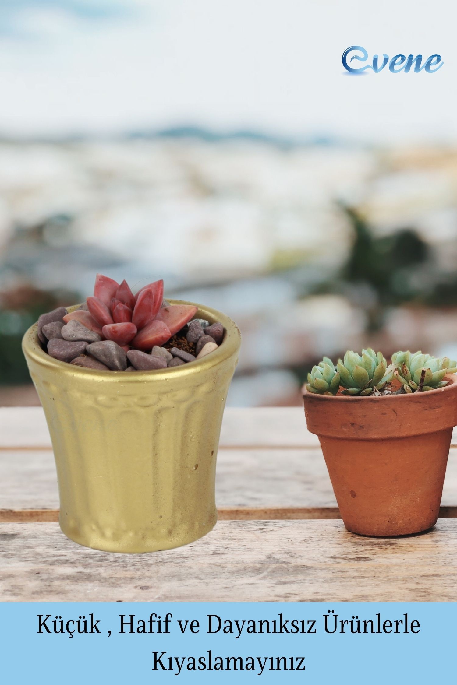 Saksı Kaktüs Saksısı Dekoratif Saksı Model 8