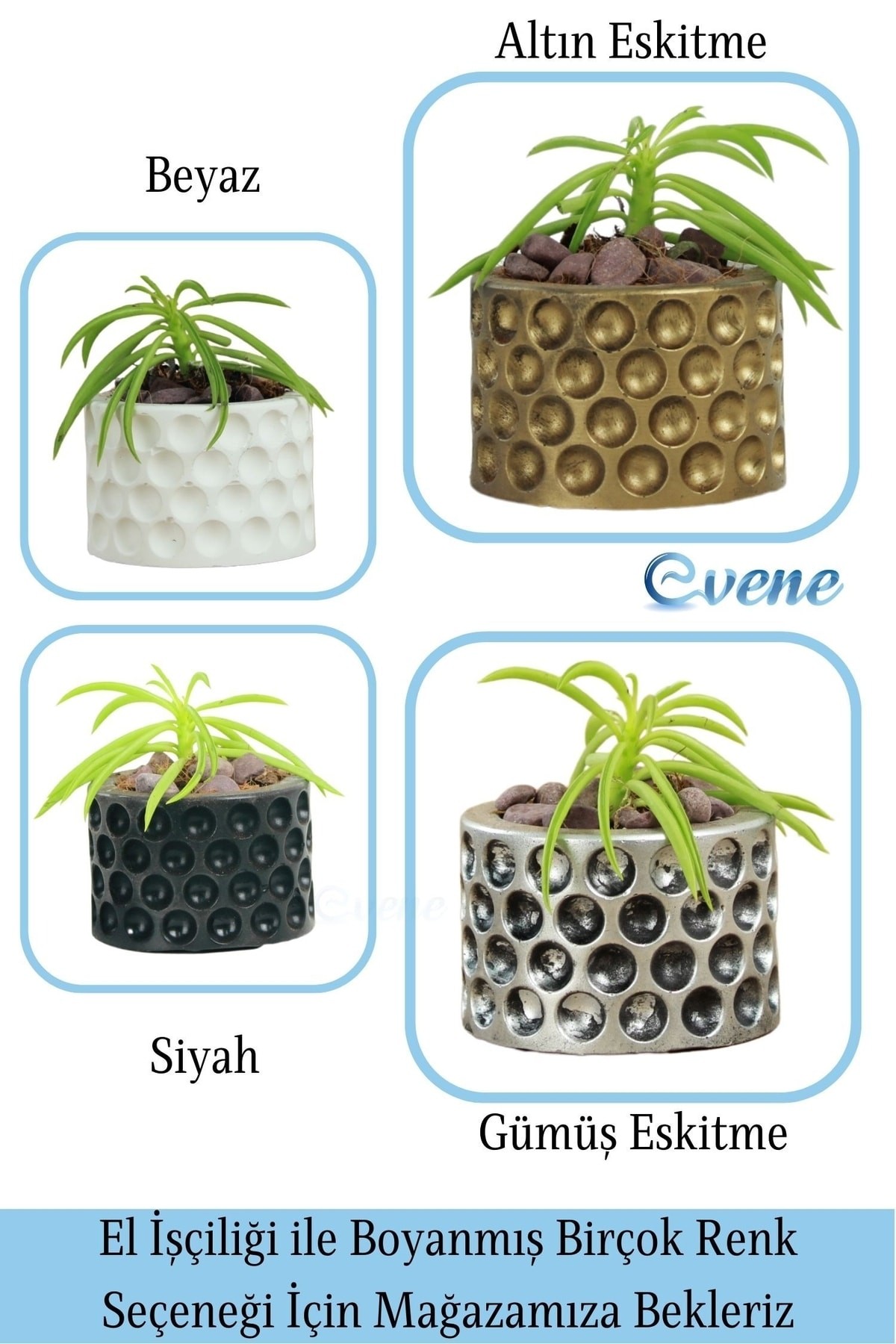 Mini Çiçek Saksı Küçük Sukulent Altın Eskitme Kaktüs Saksısı Puantiyeli Model