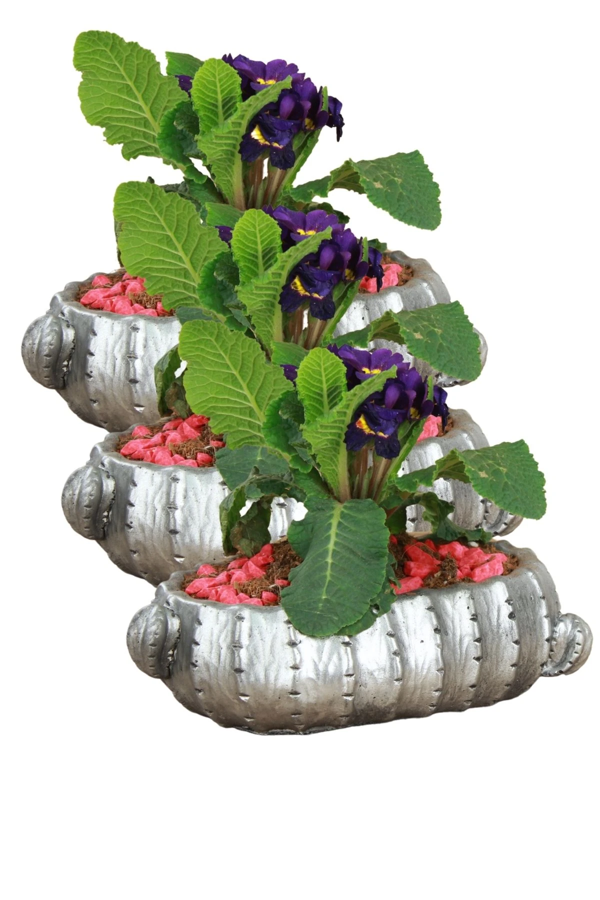 GÜMÜŞ ESKİTME thumbnail image