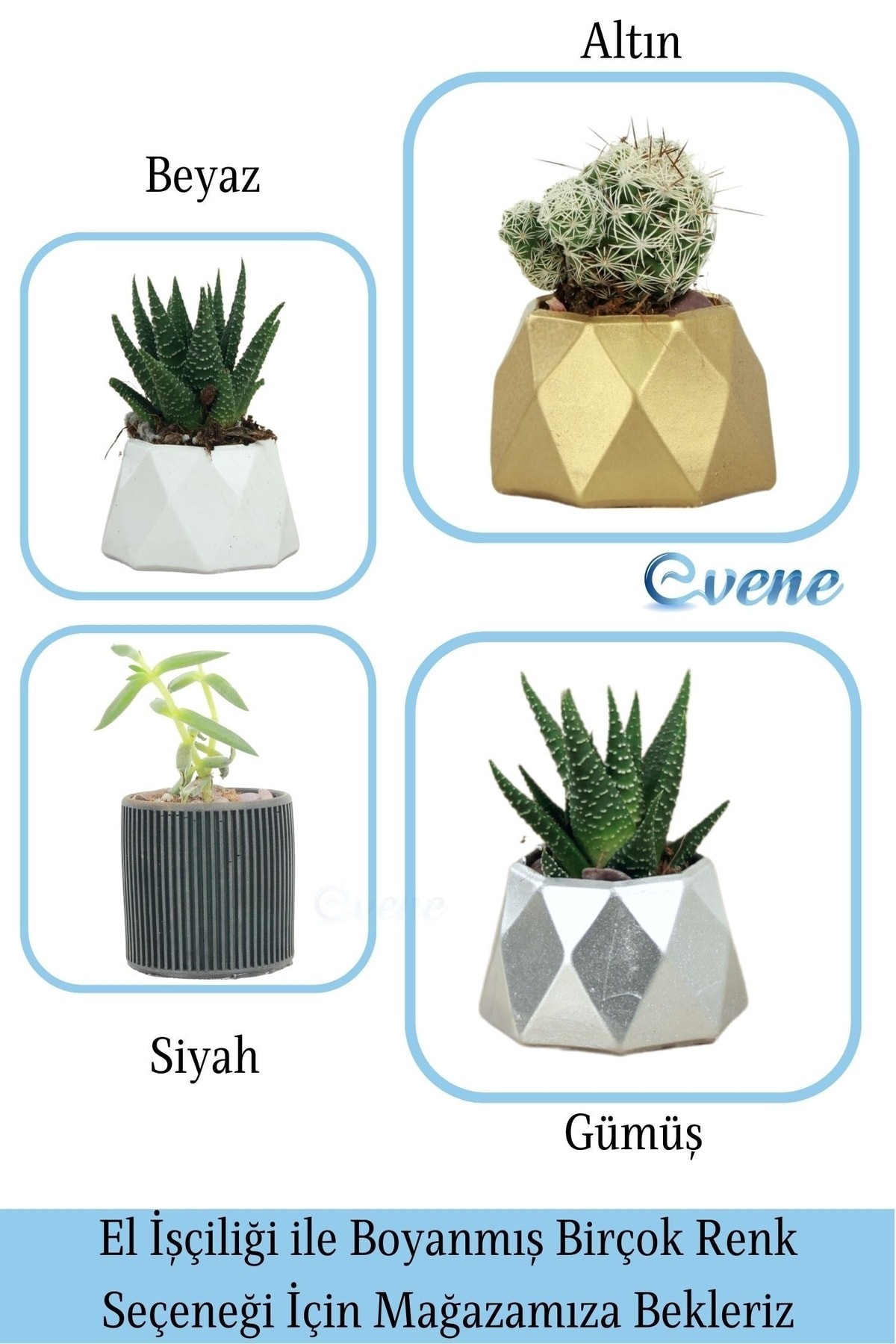 Mini Çiçek Saksı Küçük Sukulent Siyah Kaktüs Saksısı Düz İnce Çizgili Model